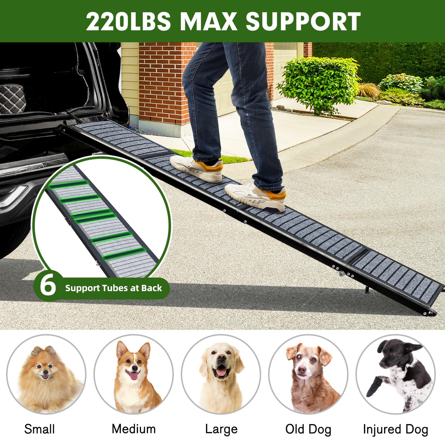 71"/67"/63" Large Dog Car Ramp,Folding Dog Ramp for Stairs with Anti-Slip Rug Surface,Pet Ramp for Dogs to Get Into a Car,SUV & Trucks,Dog Ramps for Large Medium Small Dogs Up to 250Lbs - OMOTOR