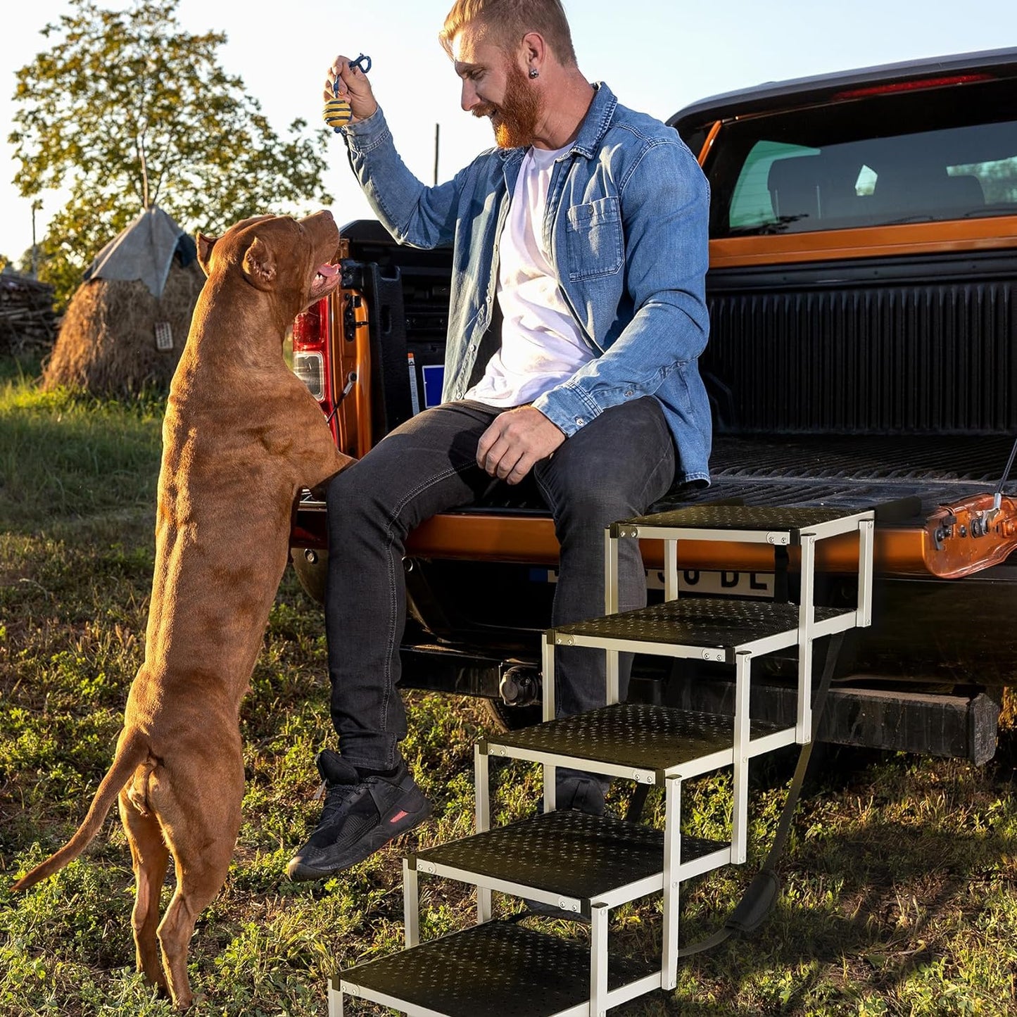 Foldable Dog Car Ramp for Large Dogs, Portable Dog Steps for SUV, Aluminum Dog Stairs with Non-Slip Surface for High Beds, Trucks and SUVs, 5 Steps - OMOTOR