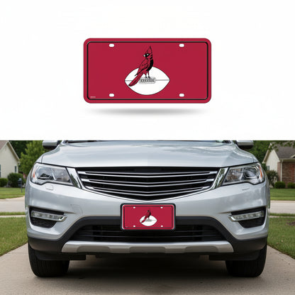 Rico Industries NFL Football Modern Retro Metal Auto Tag 6" x 12" - Great for Truck/Car/SUV
