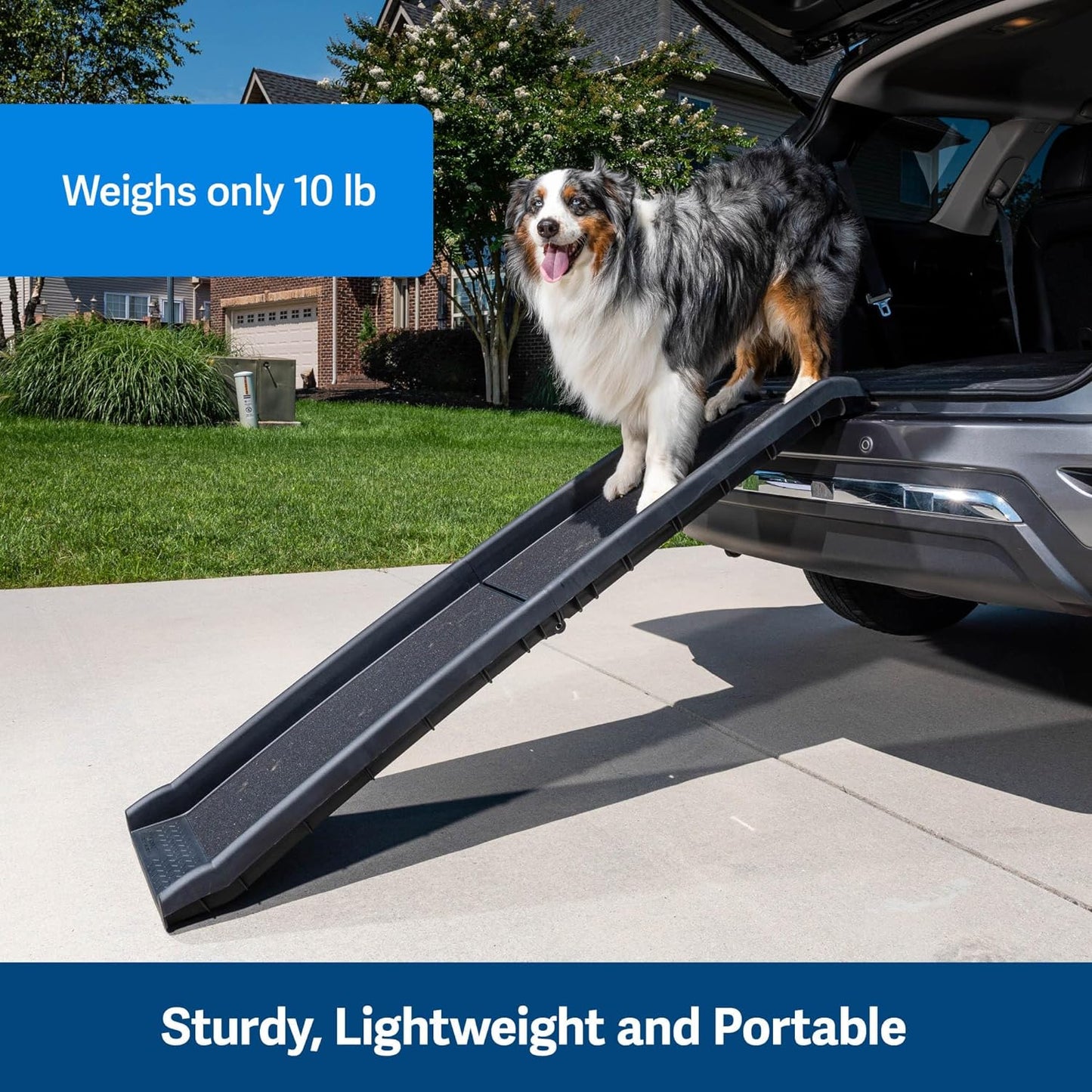 Folding Pet Ramp for Cars, Trucks, & SUVs- 62 Inch Portable for Large Dogs with Siderails, Non-Slip- Weighs Only 10 lb, Supports up to 150 lb, Easy Storage, Folds in Half