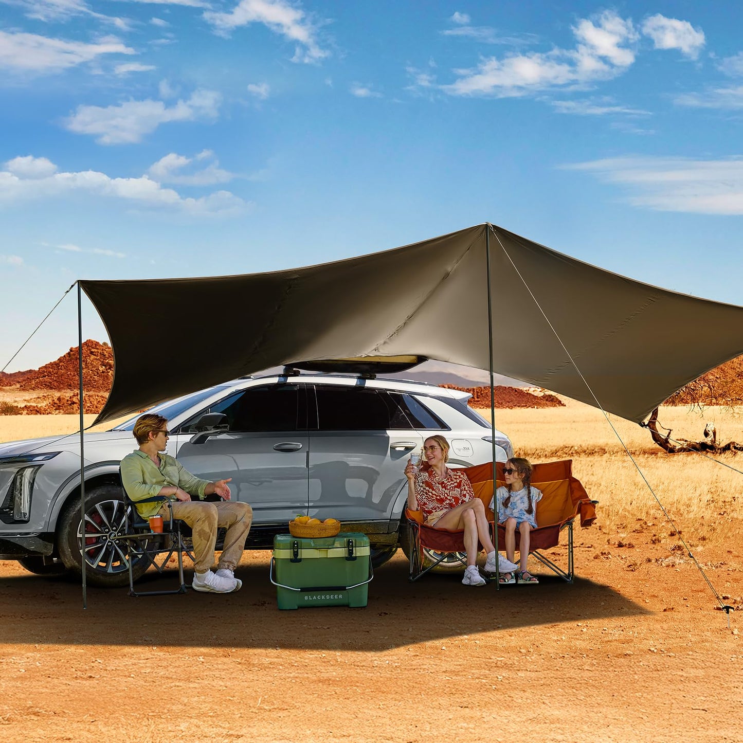 19x9.8ft Retractable Car Awning with Blackout Coating for Vehicle/Truck/Jeep/SUV/Van