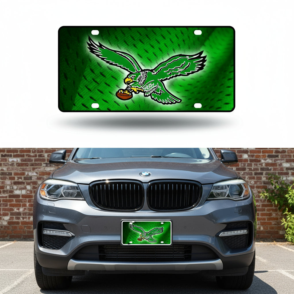 Rico Industries NFL Football Modern Retro Metal Auto Tag 6" x 12" - Great for Truck/Car/SUV