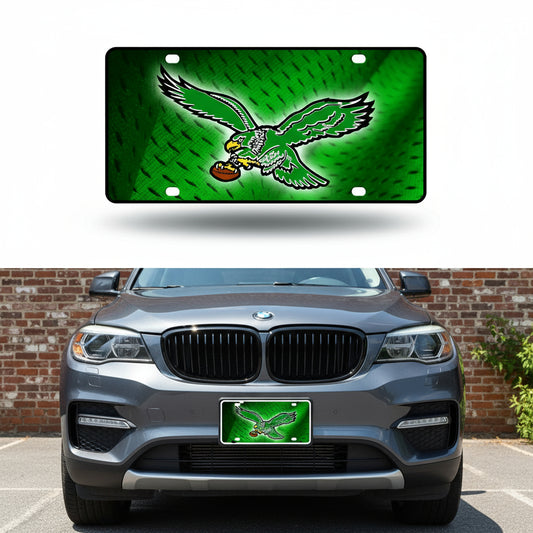 Rico Industries NFL Football Modern Retro Metal Auto Tag 6" x 12" - Great for Truck/Car/SUV