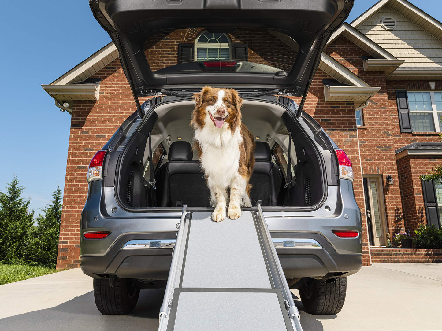 Dog Ramp Extends from 39-71 Inches No Slip High Traction Surface Collapsible and Locking for Easy Storage For Trucks, SUVs, and Cars Weighs Only 13 Pounds