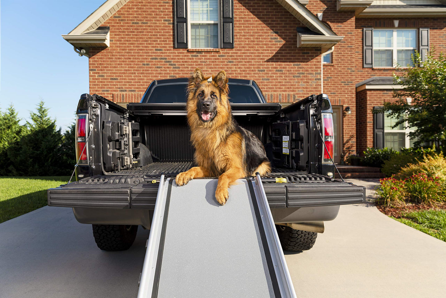 Dog Ramp Extends from 39-71 Inches No Slip High Traction Surface Collapsible and Locking for Easy Storage For Trucks, SUVs, and Cars Weighs Only 13 Pounds