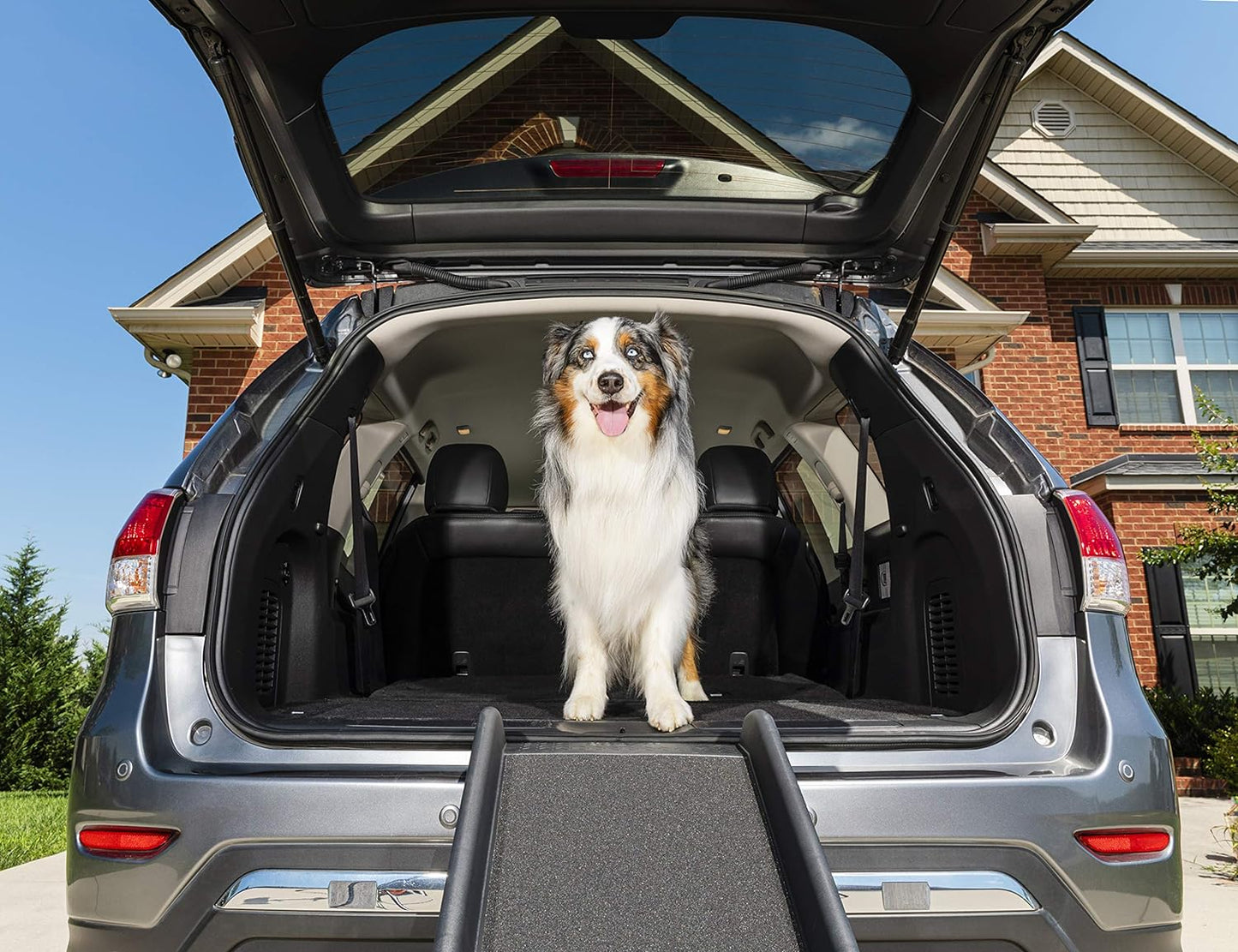 Folding Pet Ramp for Cars, Trucks, & SUVs- 62 Inch Portable for Large Dogs with Siderails, Non-Slip- Weighs Only 10 lb, Supports up to 150 lb, Easy Storage, Folds in Half